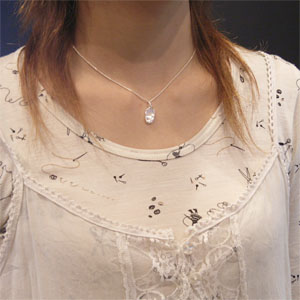 fh-t945-chain